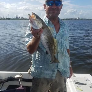 Meet your Posher, Douglas